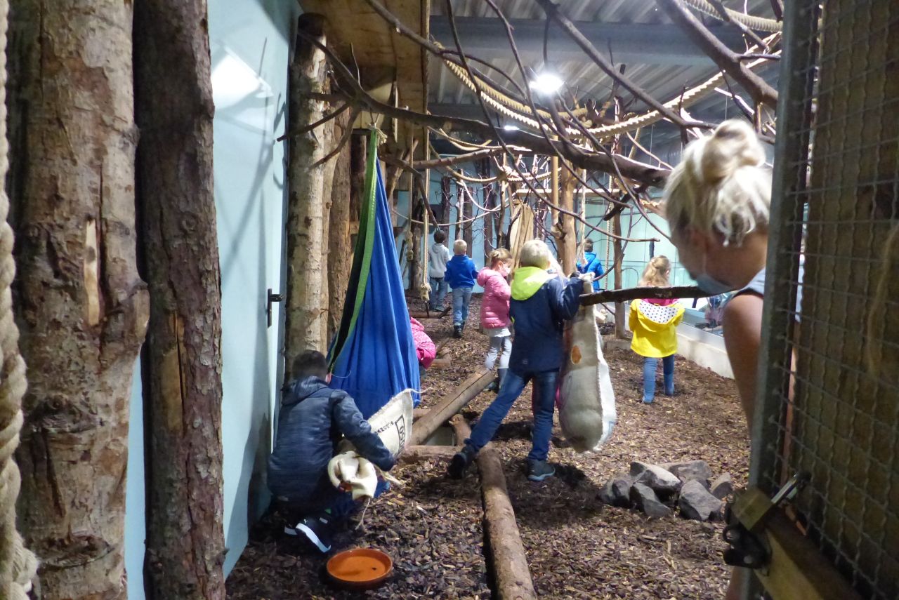 Zoologie zum Begreifen: Neue Angebote in der Else Schtz Zooschule