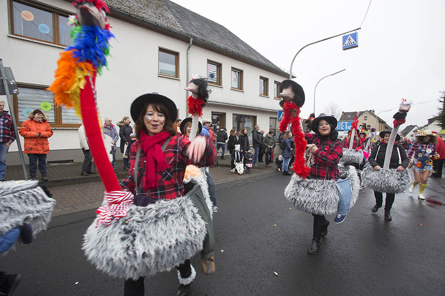 Prchtige Fugruppen bestimmten Rosenmontagszug Kleinmaischeid