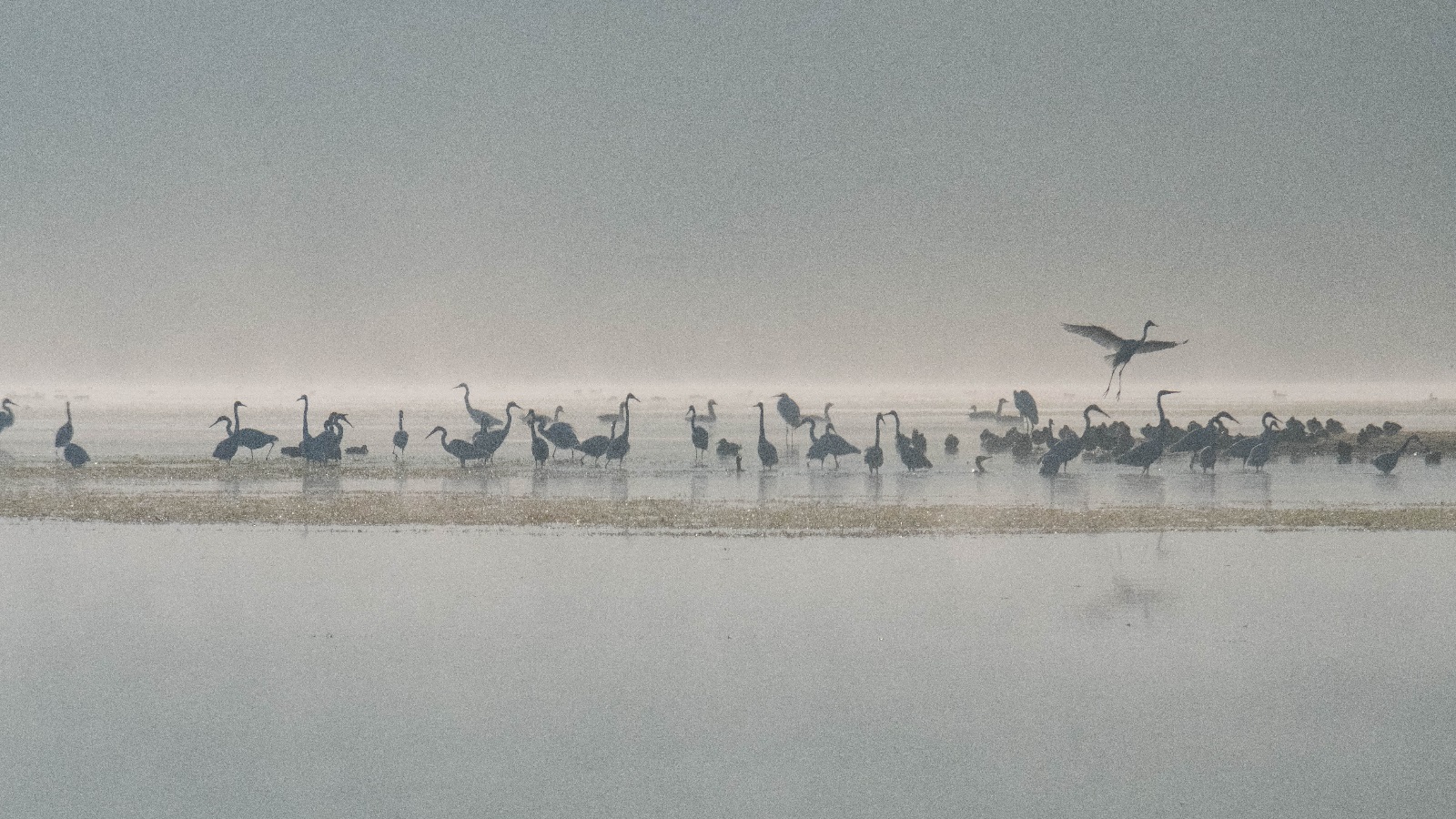 Dreifelder Weiher im Herbst. (Foto: Christoph Br�der)