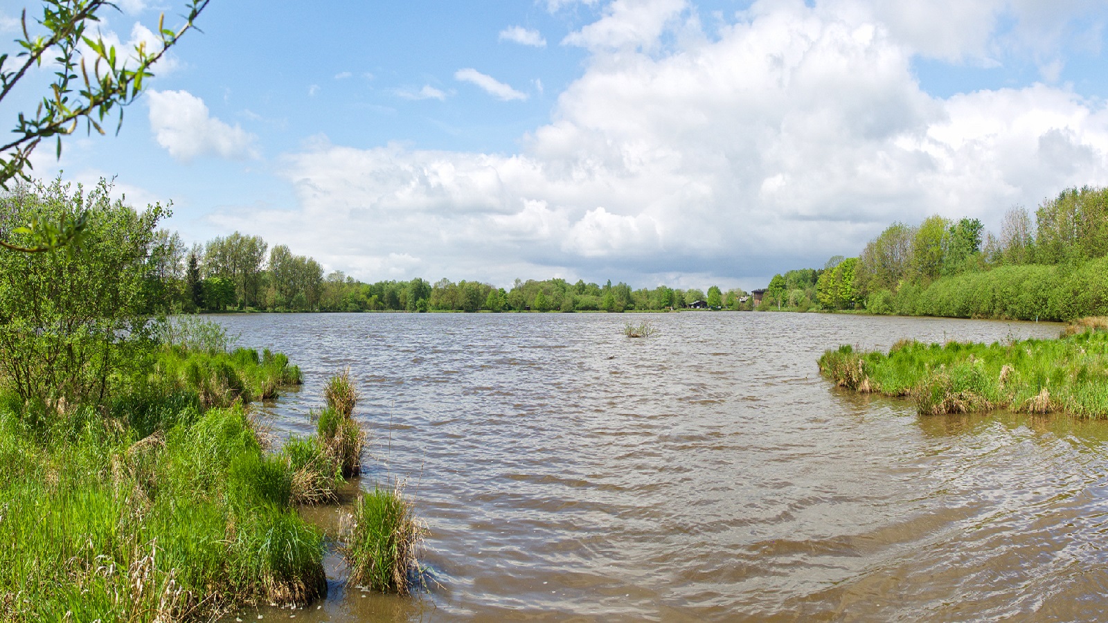 Der Elkenrother Weiher. (Foto: Matthias Schaefgen)