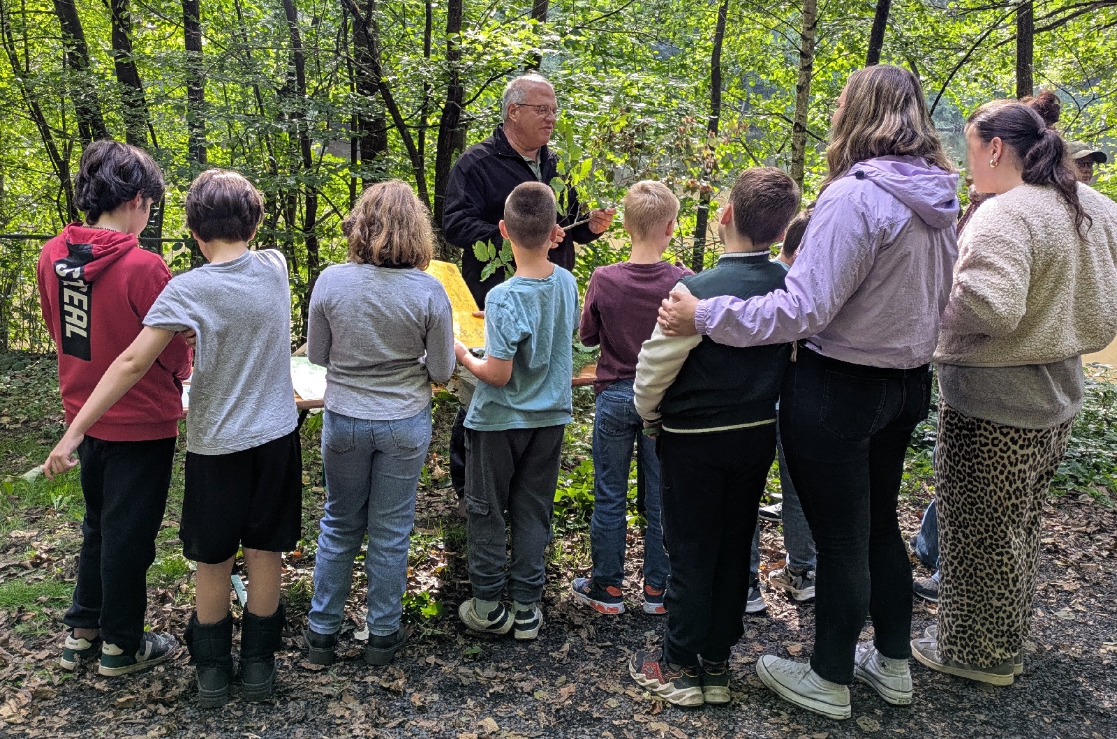 Den Wald erleben. (Foto: Katrin Hoffmann)