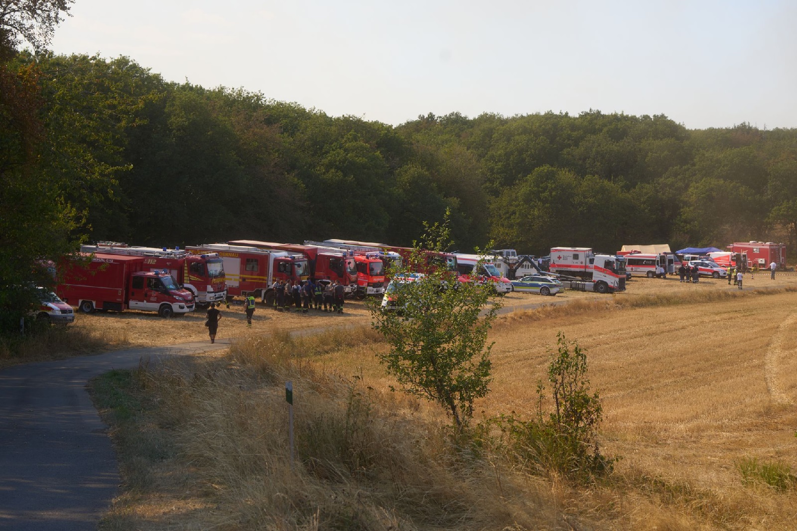 Waldbrand in Rheinland-Pfalz. (Foto: Thomas Frey/dpa)