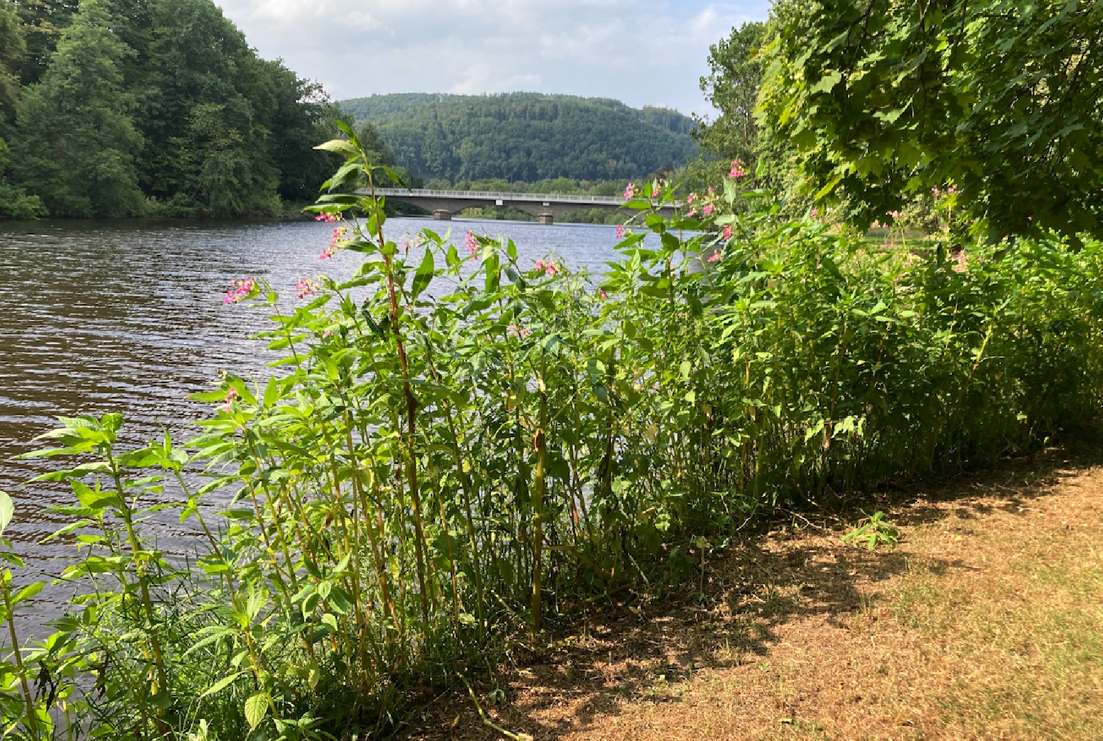 Poetische Erkundung des Wassers am Bootshafen Dattenfeld
