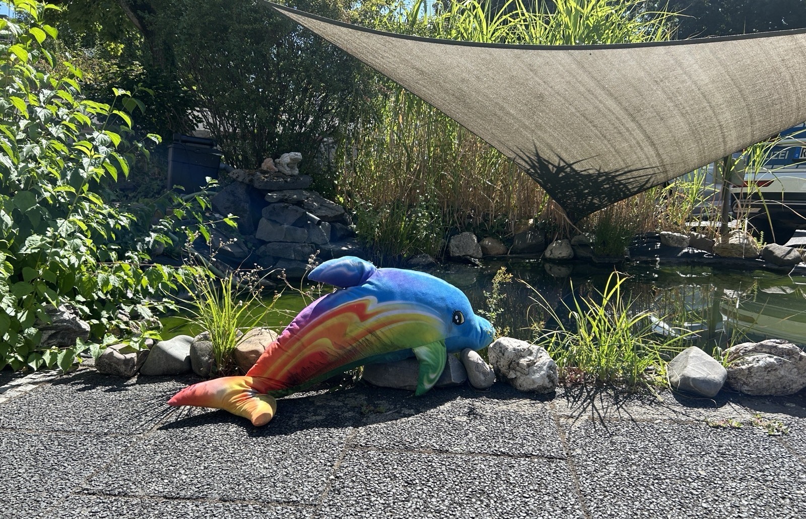 Dieser Delfin wartet gem�tlich am Teich auf seine Abholung. (Quelle: Polizeidirektion Koblenz)